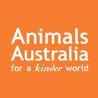 Animals Australia Logo Buy Vegan